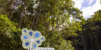 Cine.Ema e Orquestra Sinfônica: Reserva Águia Branca vira palco de cinema e música na natureza