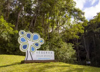 Cine.Ema e Orquestra Sinfônica: Reserva Águia Branca vira palco de cinema e música na natureza