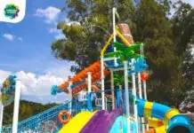 5 parques aquáticos no interior de SP perfeitos para o mês das crianças