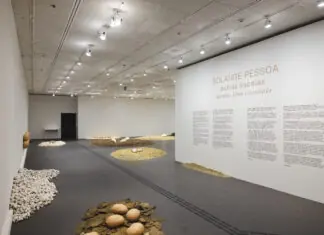 Itaú Cultural promove encontro com professores na obra da artista visual mineira Solange Pessoa