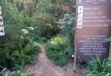 Taxa de Preservação Ambiental é suspensa no distrito de Monte Verde