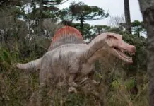 Campos do Jordão ganha maior parque de dinossauros do mundo; ingressos já estão à venda