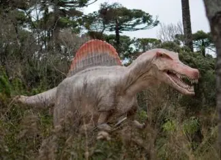 Campos do Jordão ganha maior parque de dinossauros do mundo; ingressos já estão à venda